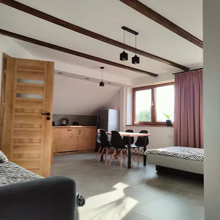 Apartamenty U Anety Wilkasy  Exterior photo