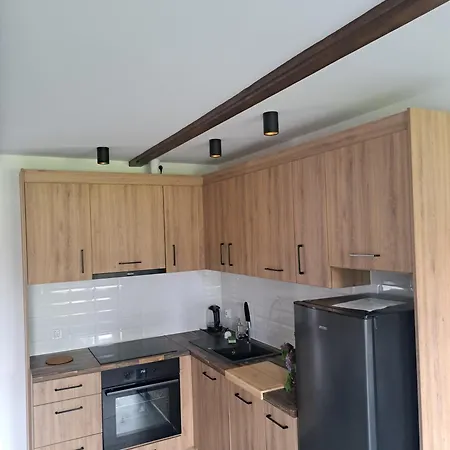 Apartamenty U Anety Wilkasy  Exterior photo